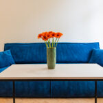 Stylish decor in Apartment near Wawel in Krakow